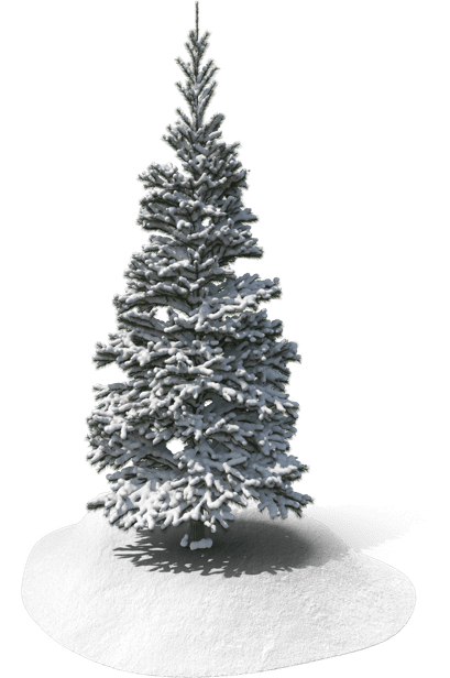 Holiday Loan Tree