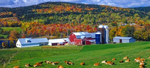 Vermont Debt Relief: Your Guide to State Laws and Managing Debt