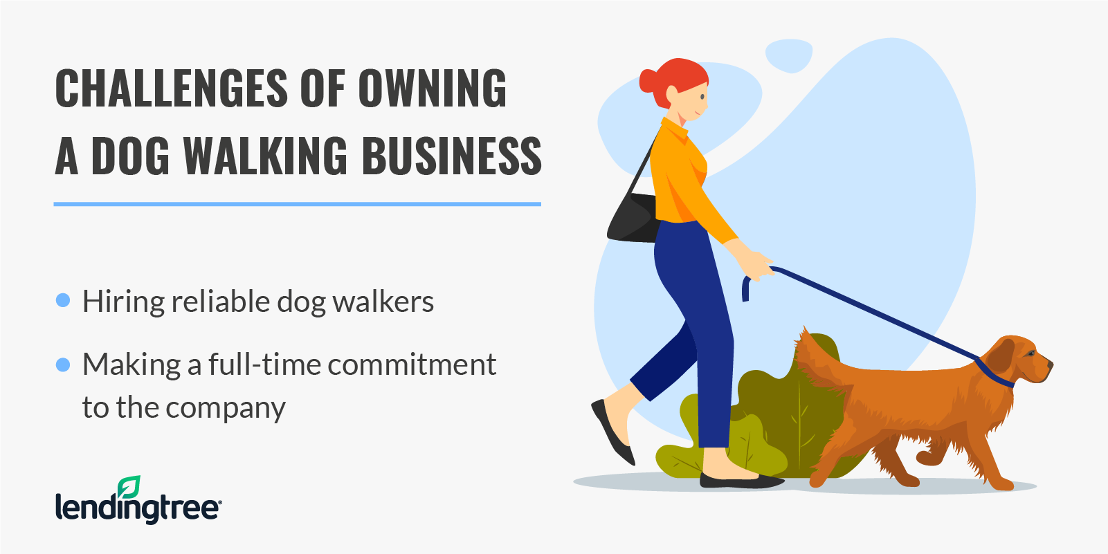 how to make a business plan for dog walking