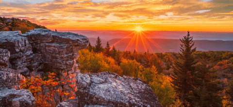 Sunrise shot of a mountain landscape with featuring trees and hard rock surfaces.