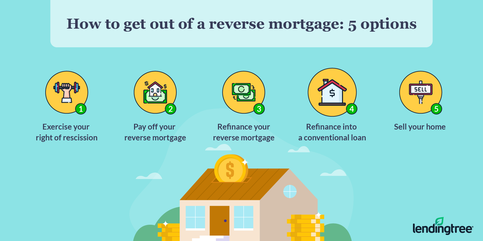 Discover the Benefits of a Reverse Mortgage Line of Credit