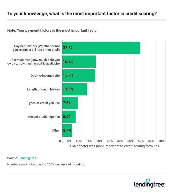 To your knowledge, what is the most important factor in credit scoring?