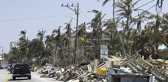 Flood damaged home and debris with fallen palm trees after natural disaster