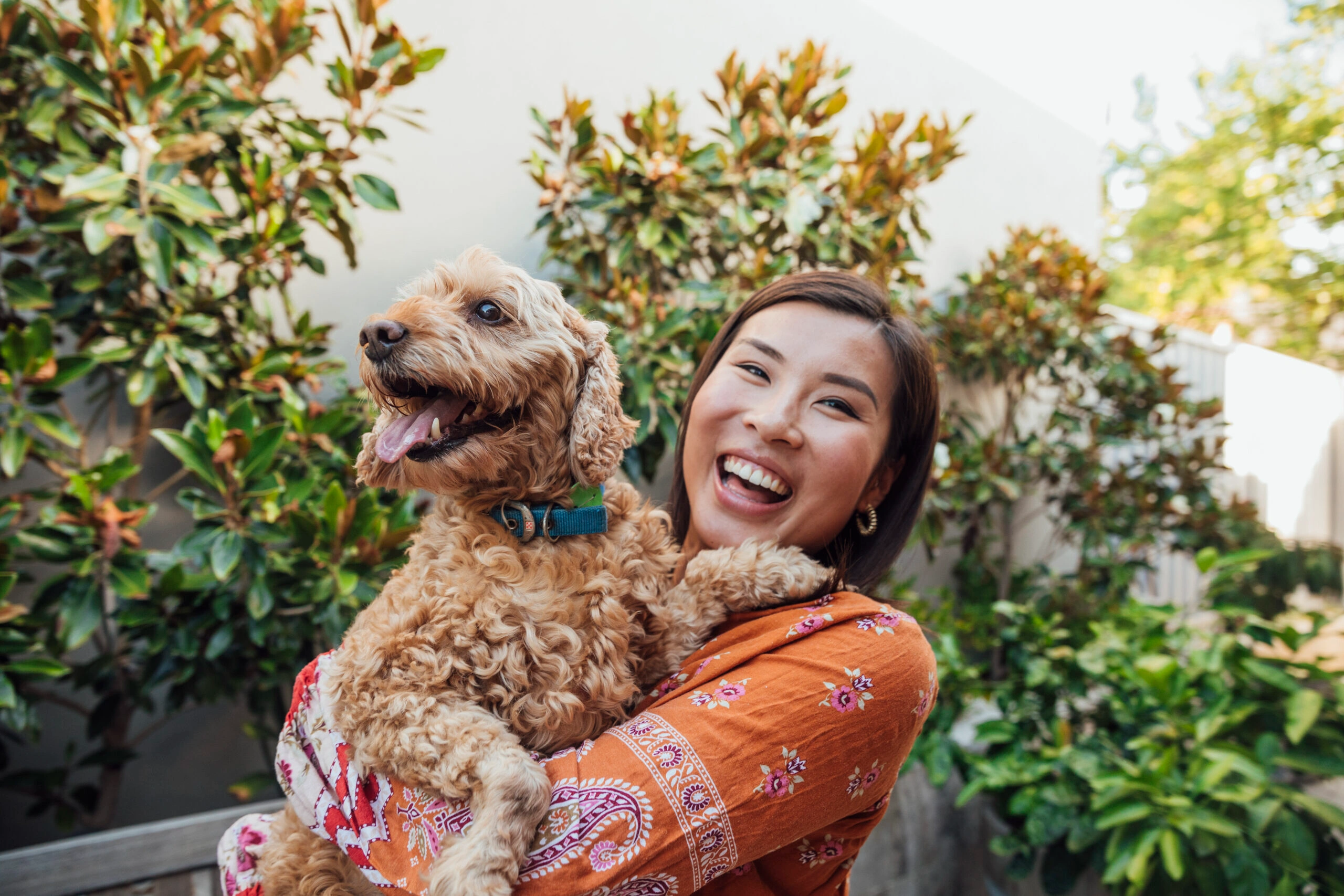 Pet Owners Make Purchases for Social Media Posts