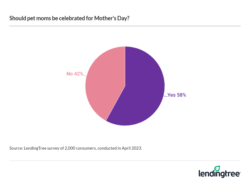 58% of people think pet moms should be celebrated on Mother's Day.