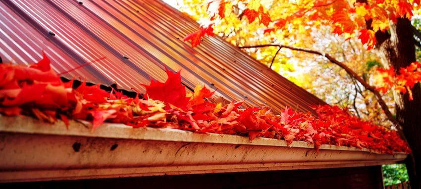 Best Roof Financing Options: 7 Loans to Consider