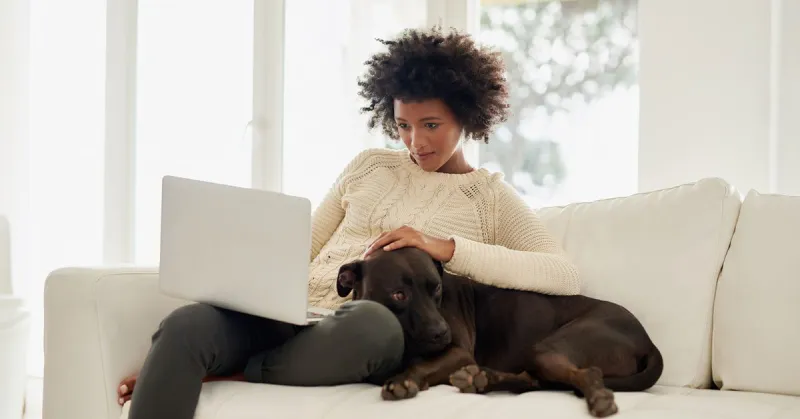 Average Cost of Car Insurance (2026)