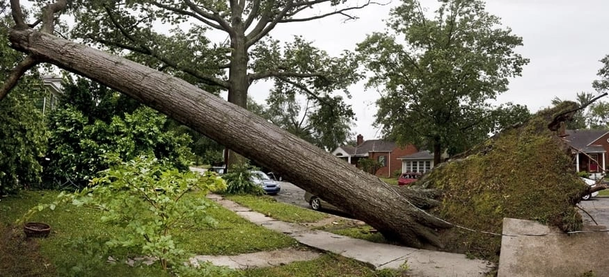 Texas Windstorm Insurance