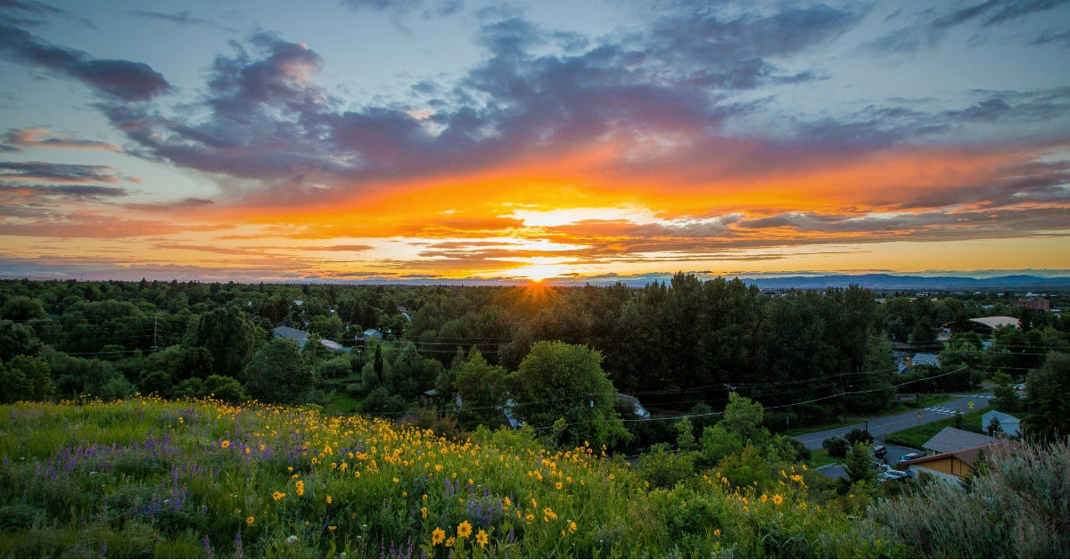 Best Homeowners Insurance in Montana