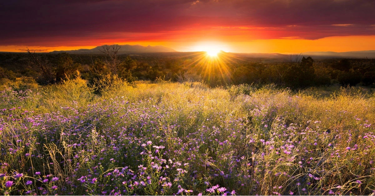 Best Homeowners Insurance in New Mexico